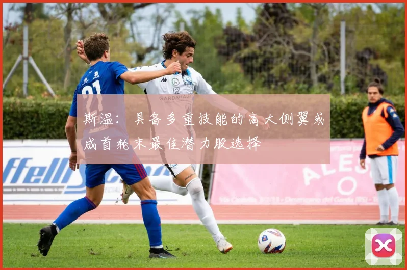 斯温：具备多重技能的高大侧翼或成首轮末最佳潜力股选择